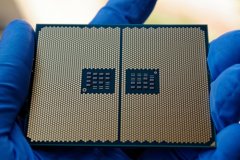 以诗会友 中外友人海棠花下叙情谊促交流